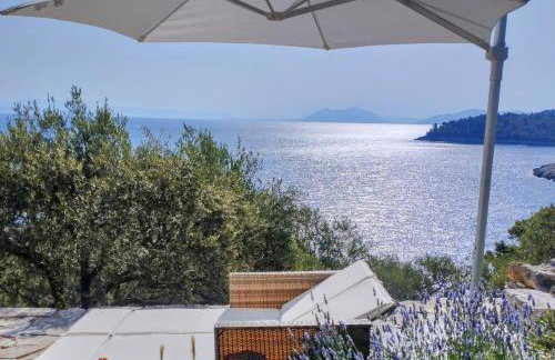 House on Punta - Photo 1