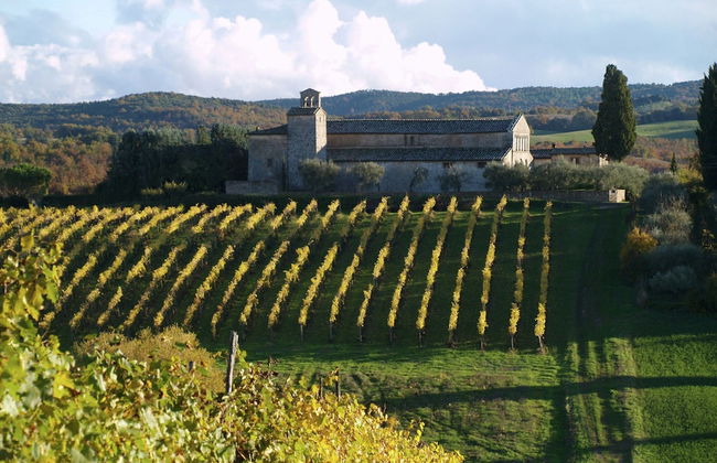 Farmhouse in Ville di Corsano Siena at the Centre - Foto 63