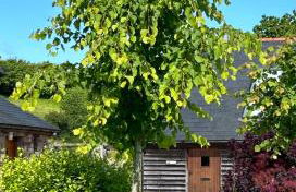 Ty Odyn. Best of Both Worlds. Rural yet Connected. - Photo 1