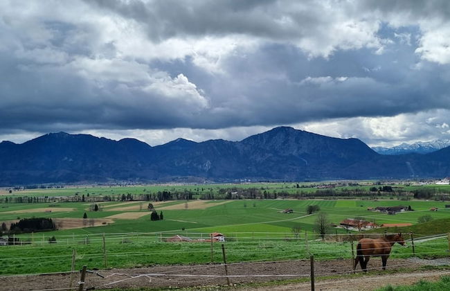 Villa Alpenpanorama - Foto 34