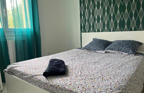 Superbe 3 chambres proche lyon et eurexpo parking - Foto 8