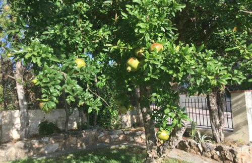 Vakantieverblijf Villa Kluever - Photo 34