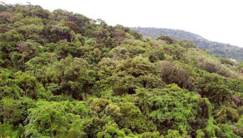 Estúdio Laranjeiras - Foto 4