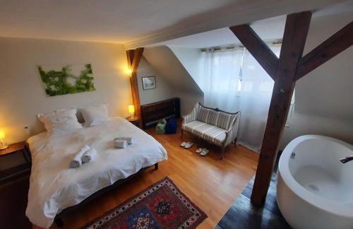 145m² city center 4 bedrooms view of the Cathedral - Foto 34