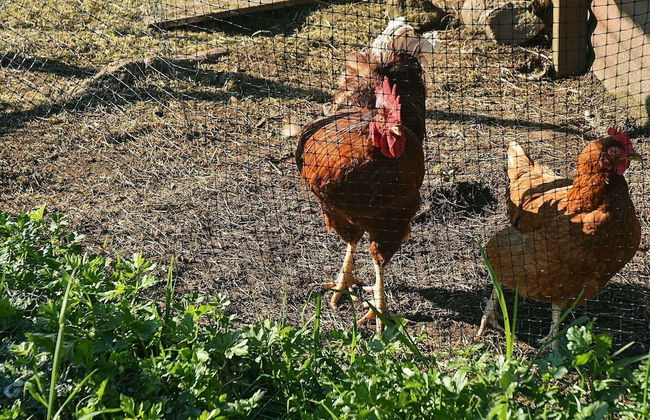 8 Person Holiday Home in Uggdal - Foto 24