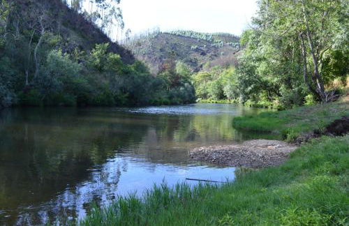 Casa da Arvore - Paradinha - Foto 30