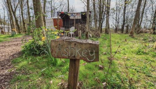 Ashkey Yurt - Foto 2