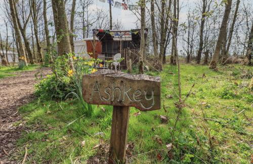 Ashkey Yurt - Foto 2