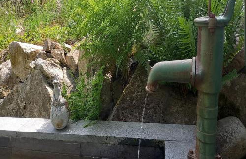 Forsthauswohnung im Schwarzwald - Foto 20