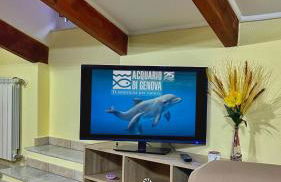 La Casa di Malú -5min centro-porto-acquario-stadio-free wifi - Foto 9