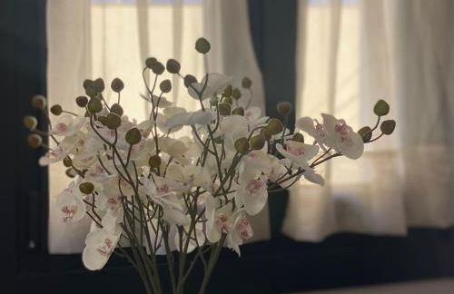 Casa en Montealegre reformada y acogedora (wifi) - Photo 49