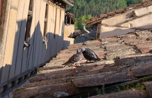 Maison du Roy / Royal Chambers - Foto 44