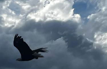 Your Mountain Retreat - Foto 40