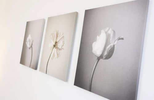 Modern Comfort Near Castle St with WiFi & Parking! - Foto 27