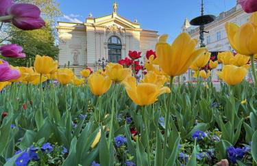APARTAMENTY SZYNDZIELNIA - 2 Sypialnie & BALKON & PARKING IDEALNE MEJSCE W BASKIDACH dla RODZINY - Foto 66