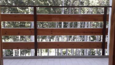 Abetone - Parco dei Daini - Photo 2