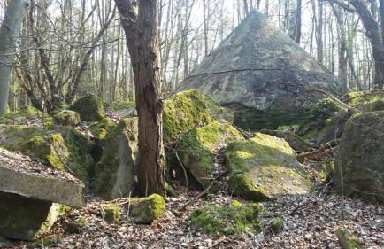 Lütt Verbliev - Foto 30