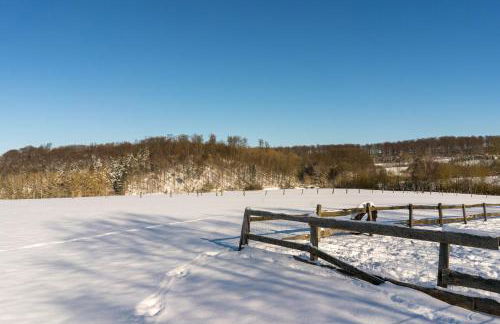 Ferienhof Homann Sauerland - Foto 50
