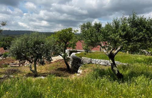 Casa da Curva - Foto 48