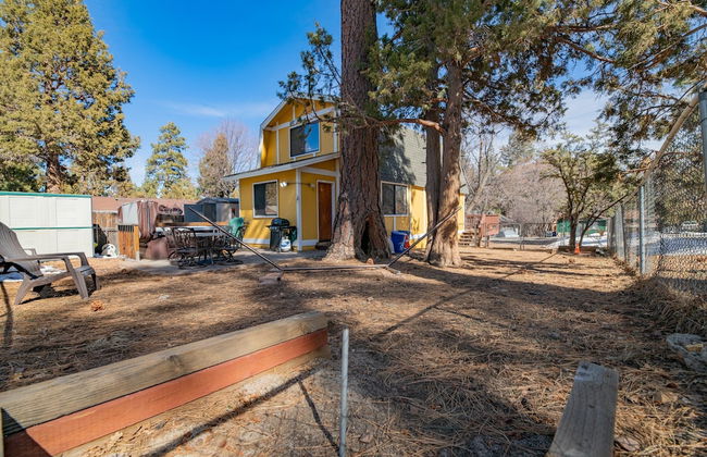 The Love Shack - Foto 18