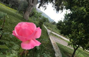 Armonia Apartment - Foto 20