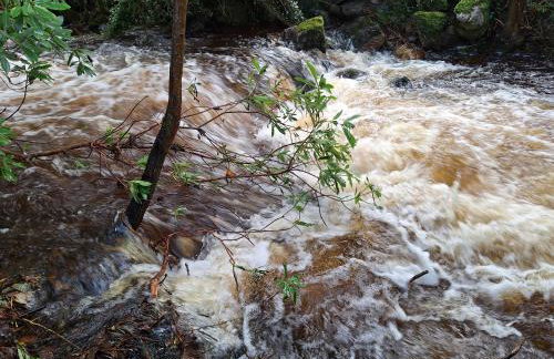 Ryan's Cottage - Photo 48