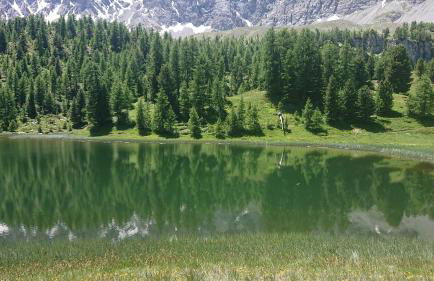 Risoul Appartement Rénové Piscine Balcons de Sirius - Foto 44