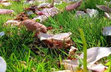 Dom w górach Zacisze lasu - Foto 28