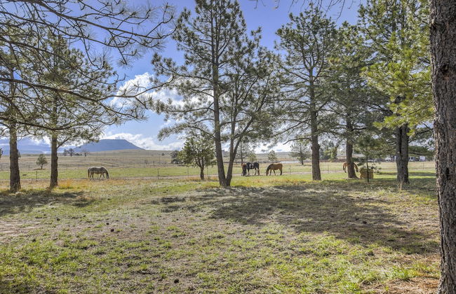 Cowboy Quarters - Foto 33