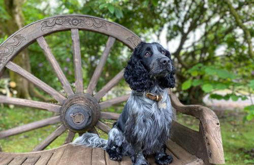 Luxury Escape with Hot Tub in County Antrim - Foto 5
