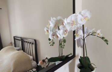 Paradise Garden Paros - Photo 27