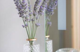 Casa Pertica - Foto 11