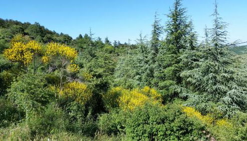 Le Mas de Fournery - Photo 3