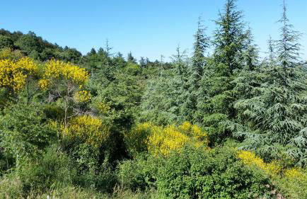 Le Mas de Fournery - Photo 3