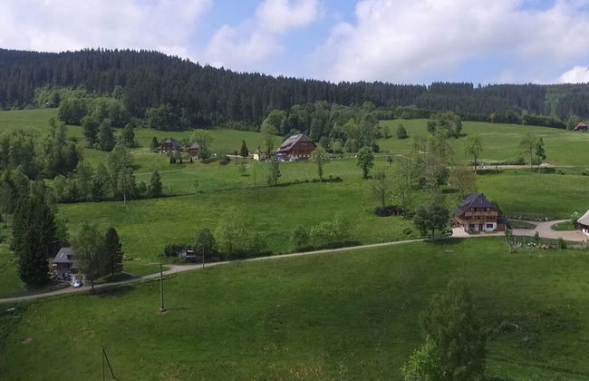 Holiday Apartment Tannenblick - Foto 3