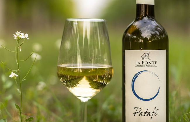 Agriturismo La Fonte - Photo 48