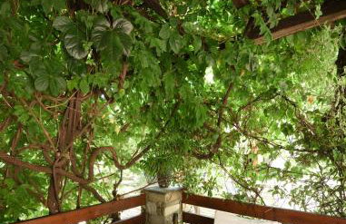 Kissos Experience - Foto 32