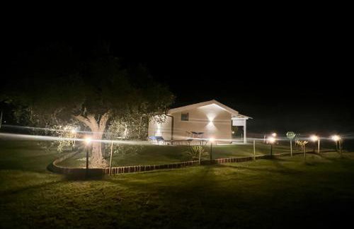 Il giardino di nunzia - Photo 5