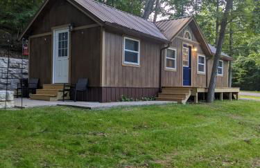 Carlton Cabin at Lake of Egypt 500 Sq Ft - Photo 37