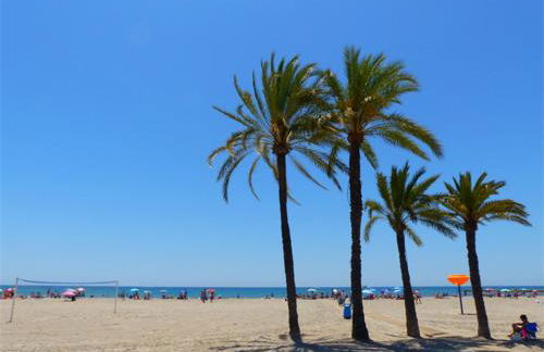Apartamento en el centro de Elche con terraza - Foto 14