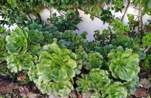 La Casa al Mare Vulcano - Foto 58