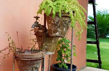 Casa Dos Patos - Foto 66