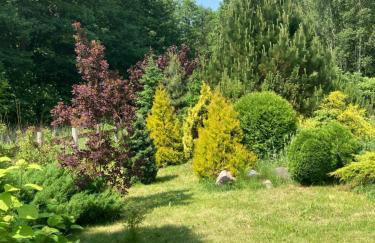 Dom w Sąpach - Foto 46