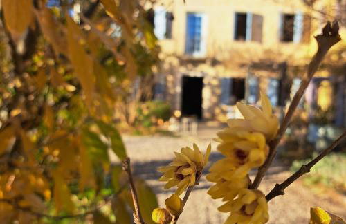 Casadesergio - Photo 36