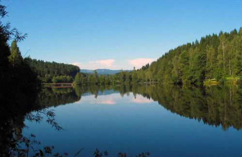 Ferienhaus Meineke - Foto 18