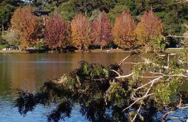 Casa Verde do Lago - Foto 24