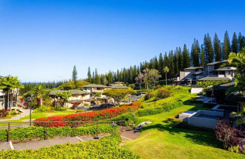 Kapalua Golf Villas 2 Free cars KBM Resorts Large Bedrooms 2 Units 3 Bedrooms ML-2189 - Foto 69
