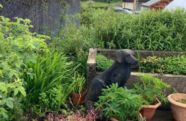 Babas rooms - Foto 37