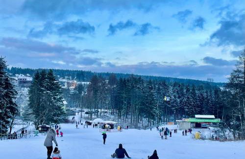 Ferienwohnung Harzurlaub - Photo 60