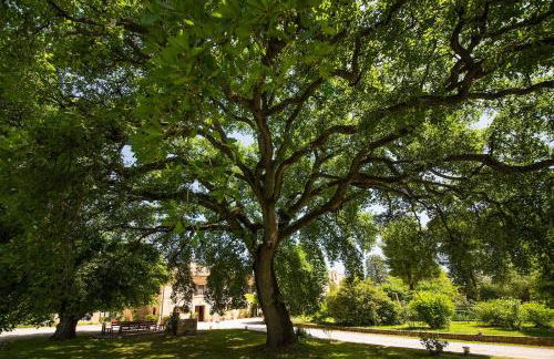 Tenuta del Viandante - Foto 8
